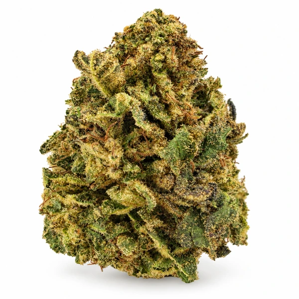 WHITE RHINO