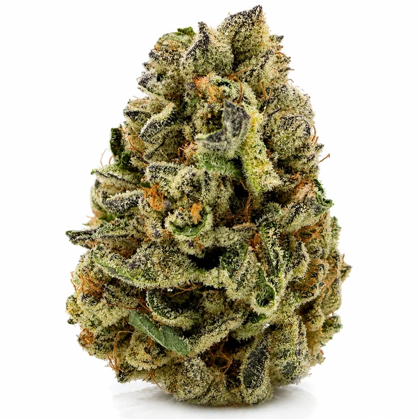 GOD GREEN CRACK