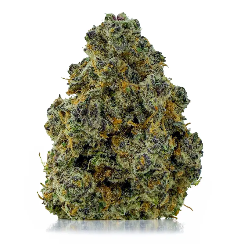 BC KUSH