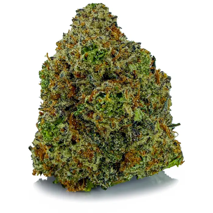 GORILLA GLUE 5
