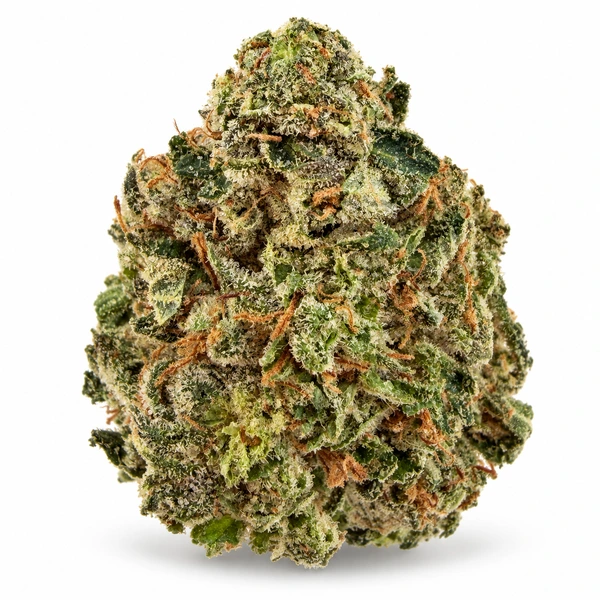 PINK ROCKSTAR