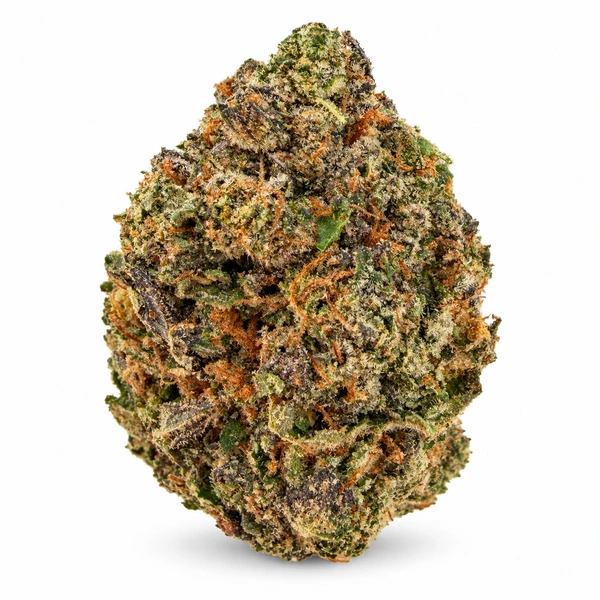 CANDY BRAIN PINK