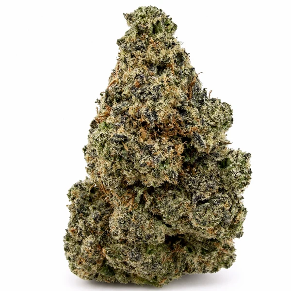DONKEY BUTTER