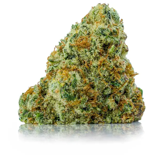 PINK HOLY GRAIL