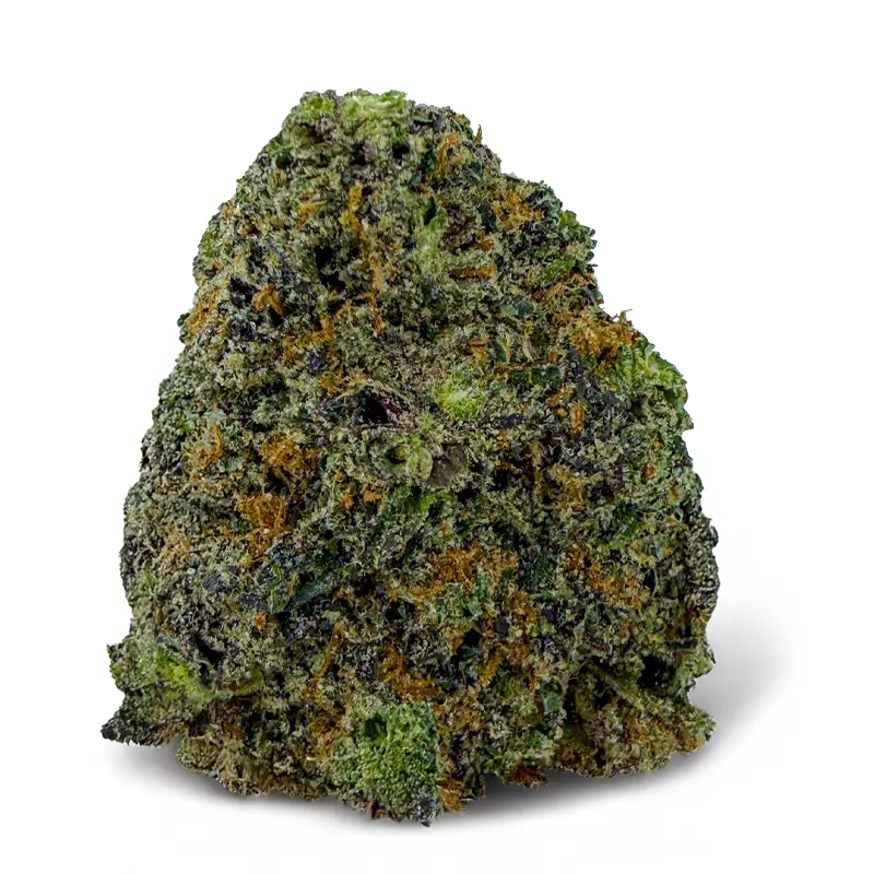 PINK GELATO