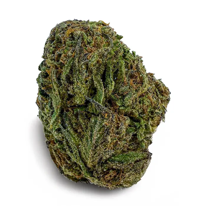 PINK MASTER KUSH