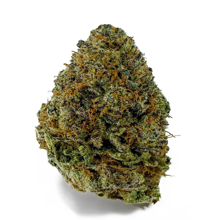 BLACKBERRY HAZE