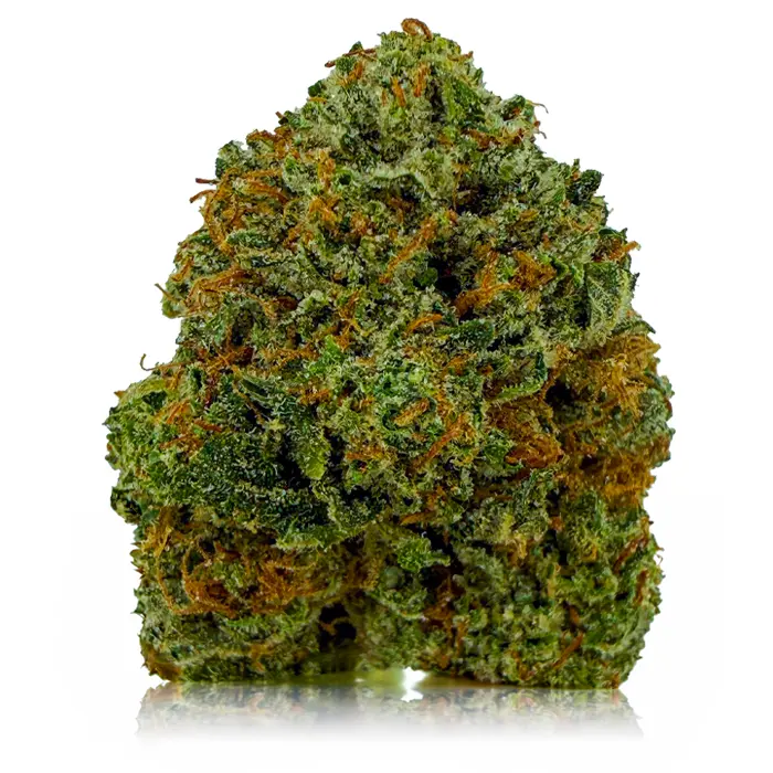 DEATH BUBBA