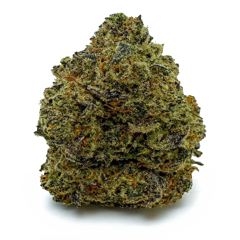 PURPLE SKUNK