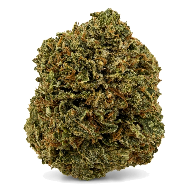 MASTER KUSH
